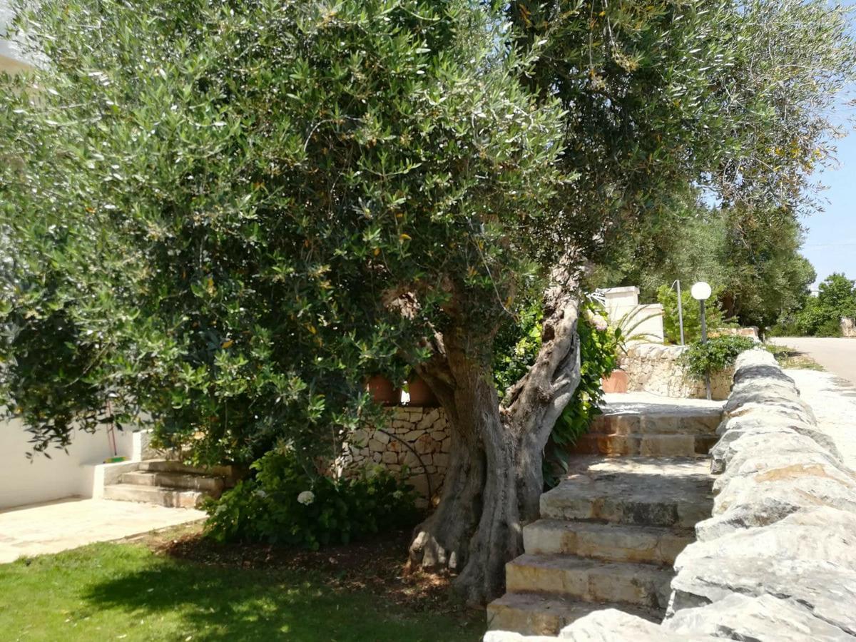 אפרטהוטל אוסטוני Residenza Aurora מראה חיצוני תמונה